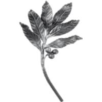 Кованый элемент ветка 14.308.07