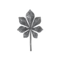 Кованый элемент лист каштана 14.314.04