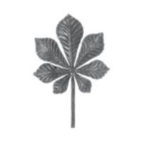 Кованый элемент лист каштана 14.314.03