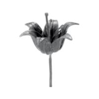 Кованый элемент цветок 14.315.02