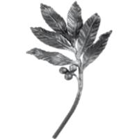 Кованый элемент ветка 14.308.08